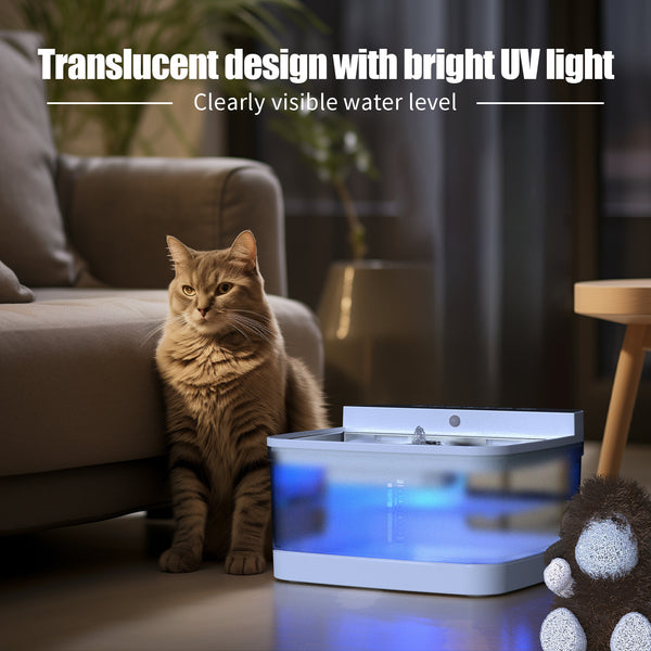 Filtered Pet Water Dispenser