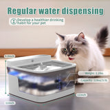 Filtered Pet Water Dispenser